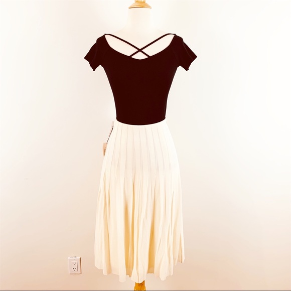 Aritzia Dresses & Skirts - NEW Aritzia T. Babaton silk midi skirt